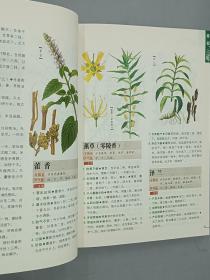 本草纲目：本草纲目（精华本）