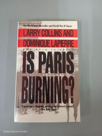 Is Paris Burning  32开   平装  389页