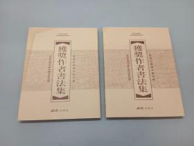 历届全国中青年书法篆刻展 全国书法篆刻展 获奖作者书法集《上 下卷》  盒装