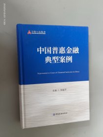 中國普惠金融典型案例   精裝