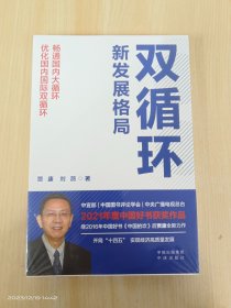 双循环新发展格局   全新