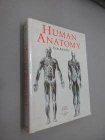 英文书：HUMAN  ANATOMY  FOR  ARTISTS   精装   16开 495页