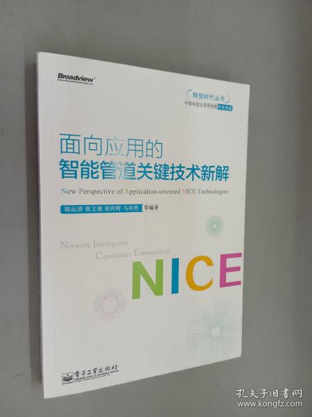 转型时代丛书：面向应用的智能管道关键技术新解