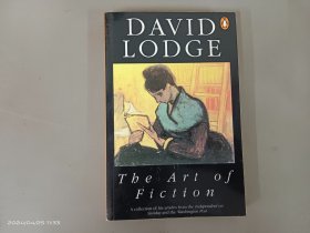 英文：The Art of Fiction：Illustrated from Classic and Modern Texts