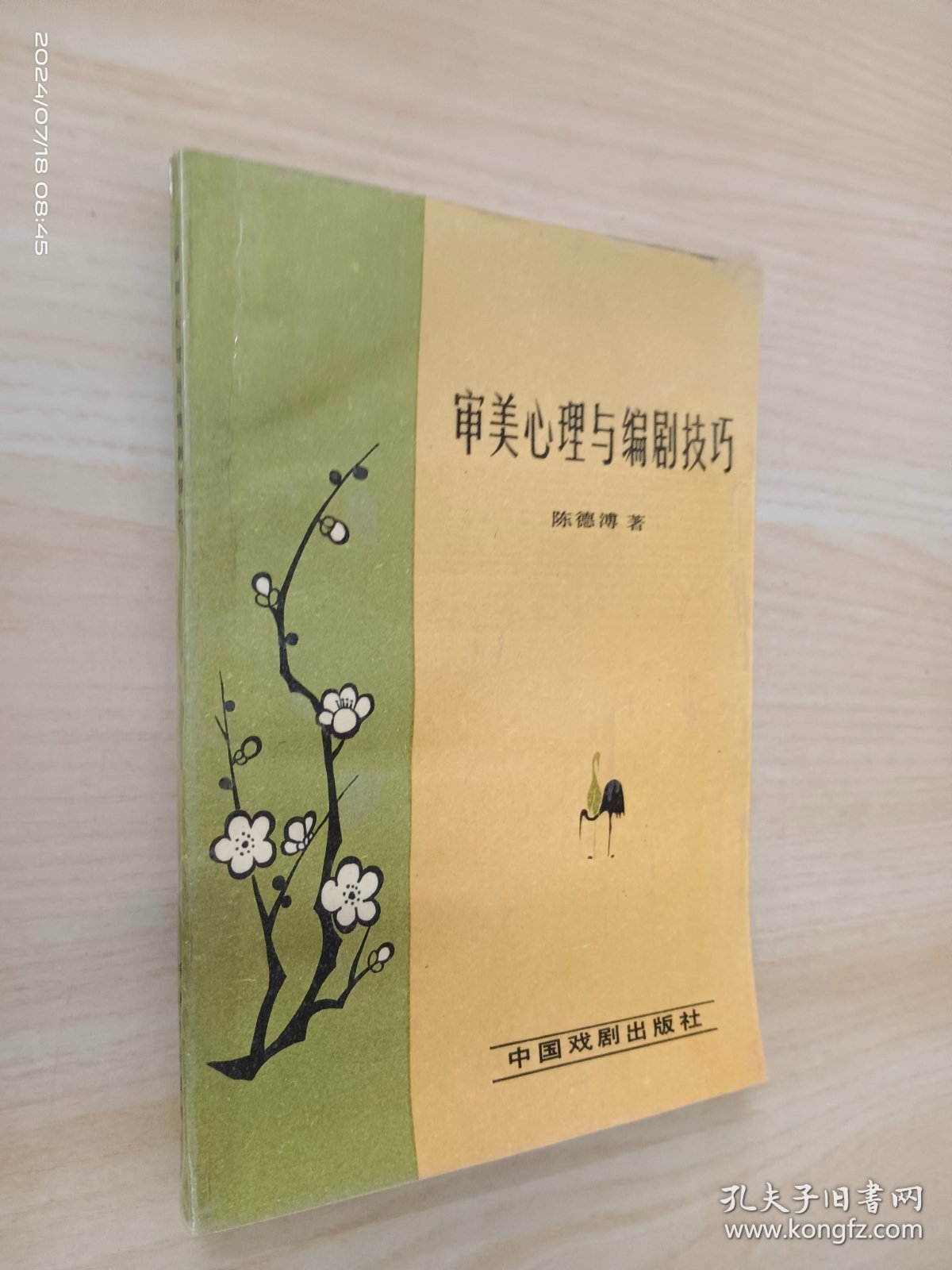 审美心理与编剧技巧