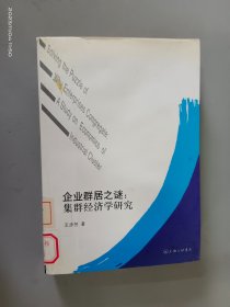 企业群居之谜：集群经济学研究