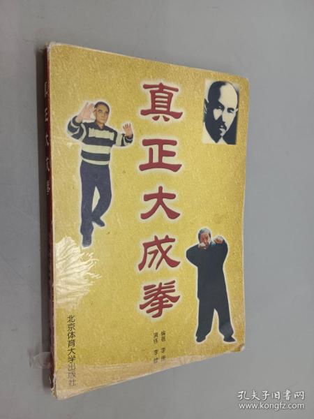 真正大成拳