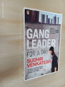 英文：Gang Leader for a Day 32开 共302页