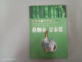 海外珍藏中华瑰宝：鼻烟壶 景泰蓝