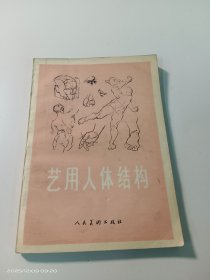 艺用人体结构.