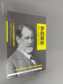 梦的解析：一个终于可以读懂的中文译本