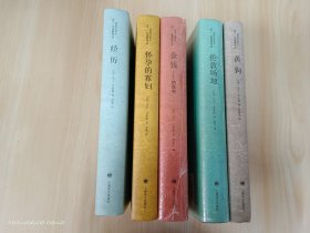 马丁·艾米斯作品：【伦敦场地】【金钱：绝命书】【黄狗】【怀孕的寡妇】【经历】共5本合售 精装