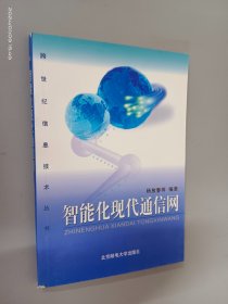 智能化现代通信网——跨世纪信息技术丛书