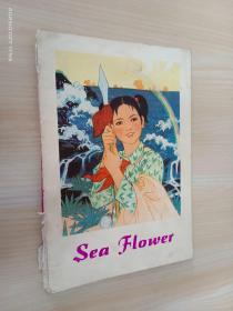 Sea Flower  海花 （英文版）