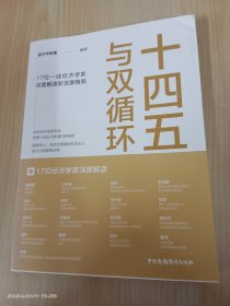 十四五与双循环:17位一线经济学家深度解读新发展格局（国内大循环国内国际双循环）