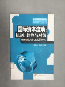 国际资本流动：机制、趋势与对策（北大国际经贸丛书）