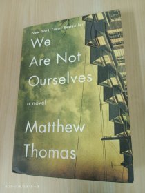 We Are Not Ourselves: A Novel