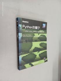 Python灰帽子：黑客与逆向工程师的Python编程之道