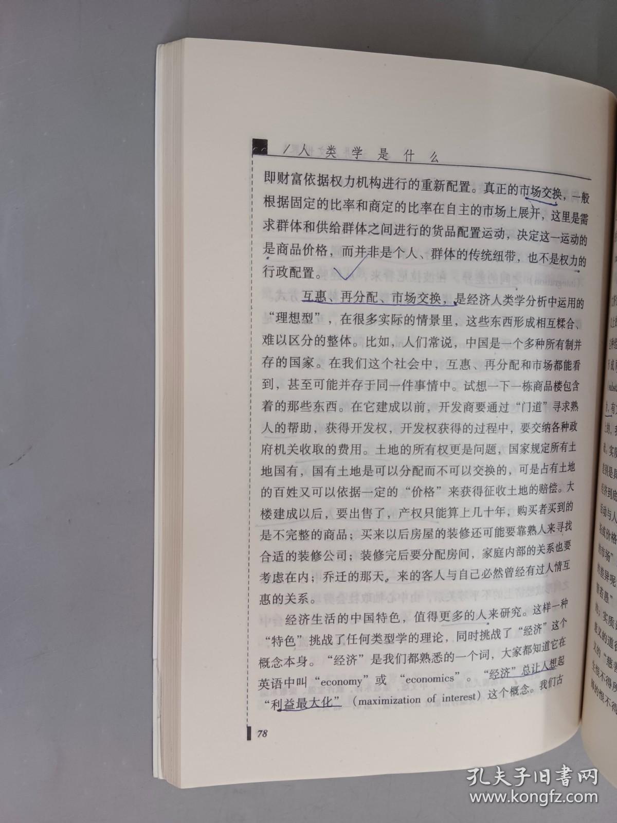 人类学是什么