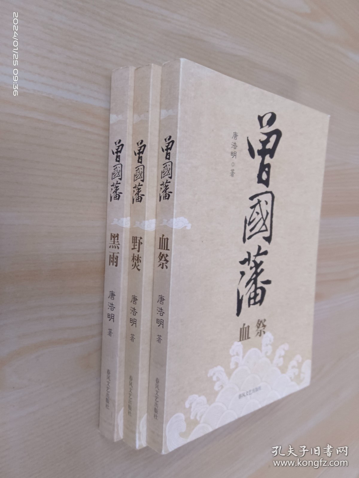 曾国藩：【血祭】【野焚】【黑雨】 全3册合售