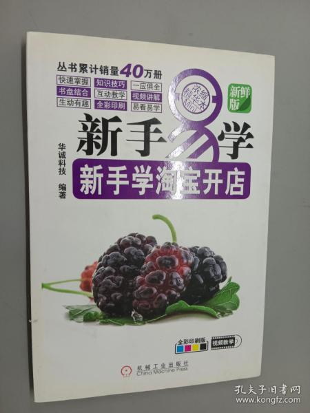 新手易学·新手学淘宝开店