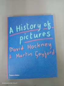 A History of Pictures David Hockney & Marrin Saykord   16开 360页  精装