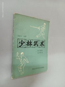 少林武术——连手短打、达魔杖