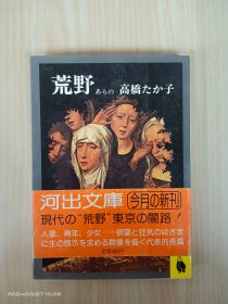 日文书 荒野あらの 高桥たか子   64开  304页   平装