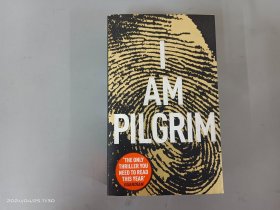 英文：I AM PILGRIM   32开  共911页