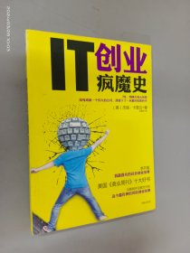 IT创业疯魔史