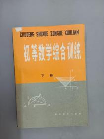 初等数学综合训练（下册）