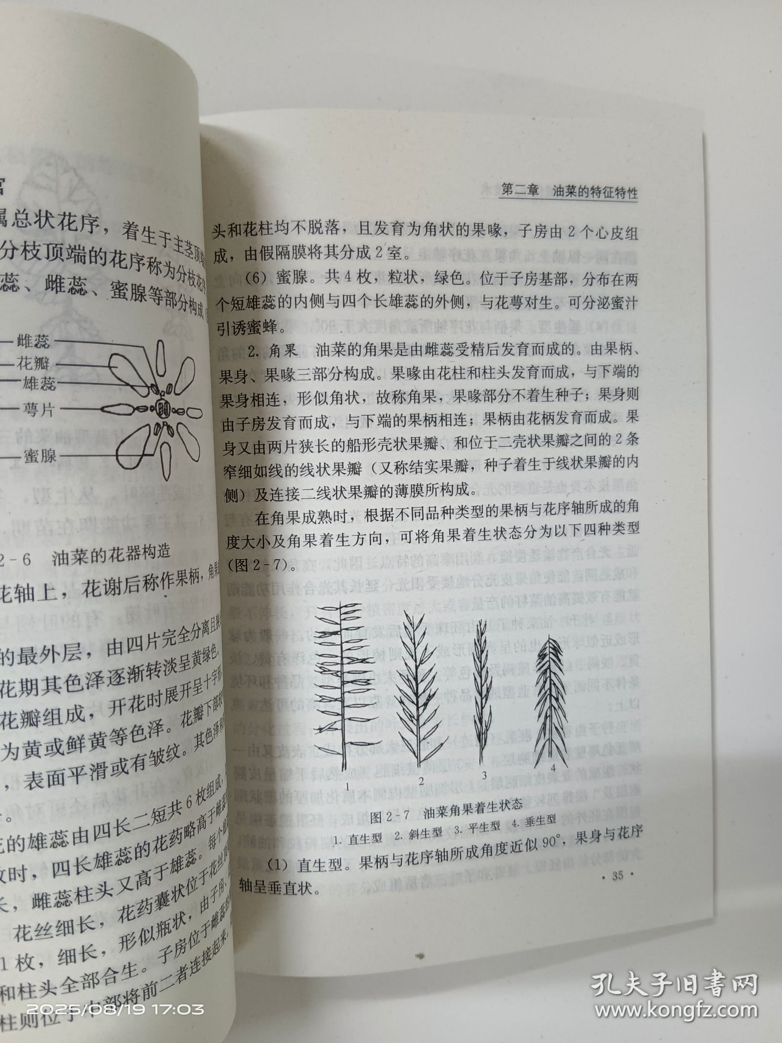 双低油菜区域化生产技术