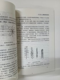 双低油菜区域化生产技术