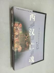 中国文化史探秘丛书(第二辑)—— 西汉亡魂