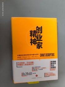 创业家精神：中国创业者如何改变中国与世界