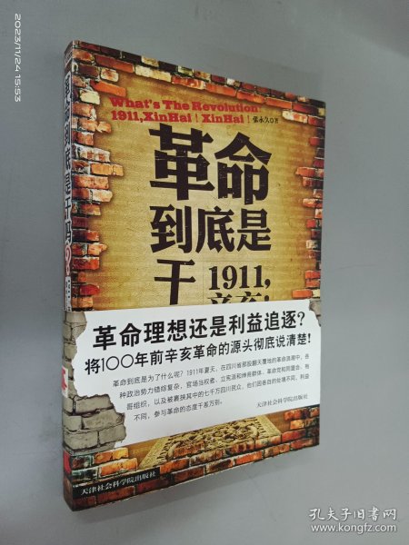 革命到底是干吗？：1911，辛亥！辛亥！