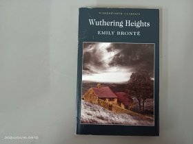 英文：Wuthering Heights  32开 共248页