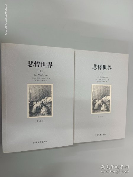 世界文学名著:悲惨世界(全译本)(套装共2册)