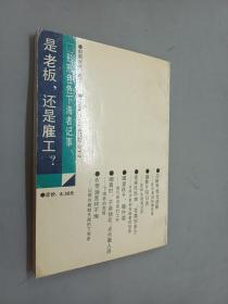 "是老板,还是雇工?:形形色色下海者记事"