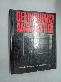 DELINQUENCY  AND  JUSTICE  SECOND EDITION   精装