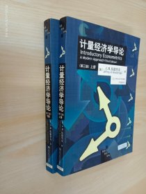 计量经济学导论（上、下册）