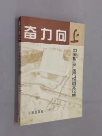 奋力向上:中国报业广告与经营文论集