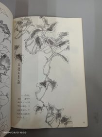 花卉写生