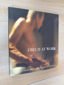 英文书  Freud at Wor  精装