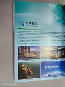 2021中国500强企业发展报告