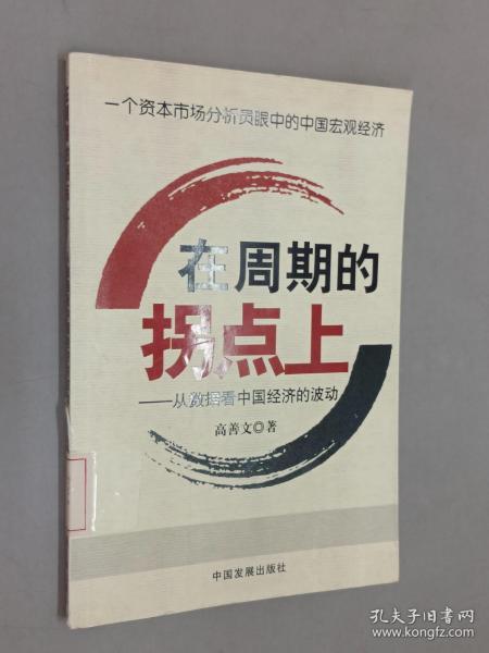 在周期的拐点上：从数据看中国经济的波动