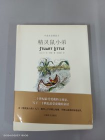 精灵鼠小弟    精装