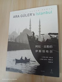 阿拉·古勒的伊斯坦布尔