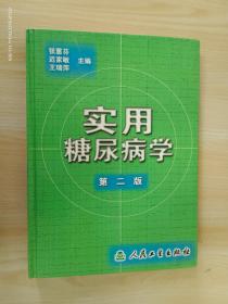 实用糖尿病学（第2版） 精装
