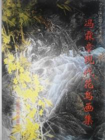 艺术院校教学参考丛书  冯霖章现代花鸟画集   一版一印，品好，近10品